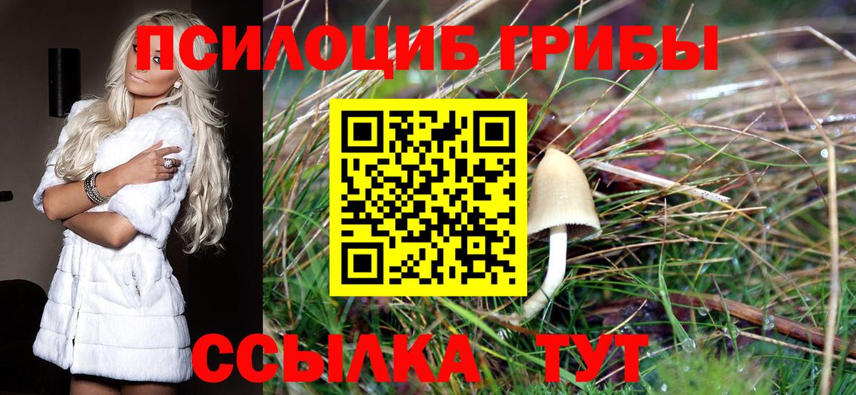 Псилоцибиновые грибы MAGIC MUSHROOMS  Вход с VPN  Псилоцибиновые грибы Psilocybe  Гудермес 