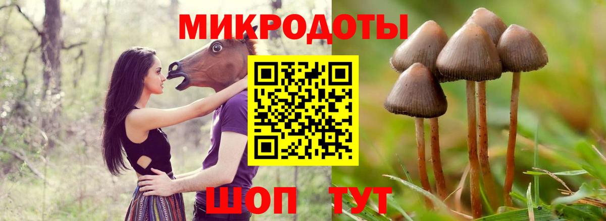 Псилоцибиновые грибы мицелий Гудермес
