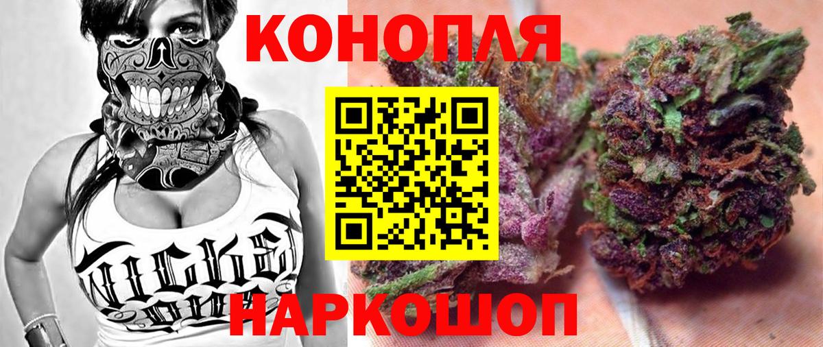Канабис White Widow  Бошки марихуана конопля  Гудермес  Вход с VPN  Конопля семена 